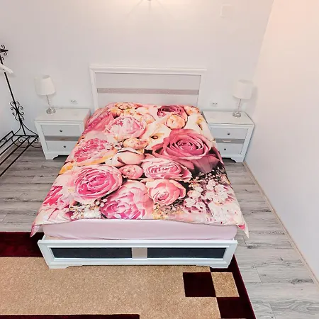 Pensiunea Casa De Vis Guest house *