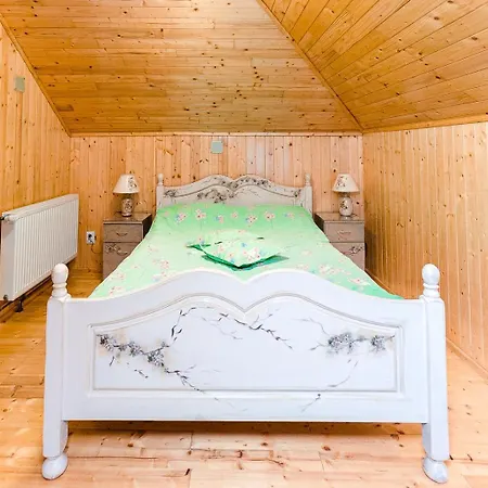 Pensiunea Casa De Vis Guest house *