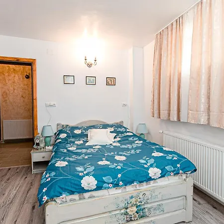 Pensiunea Casa De Vis Guest house Bughea de Sus