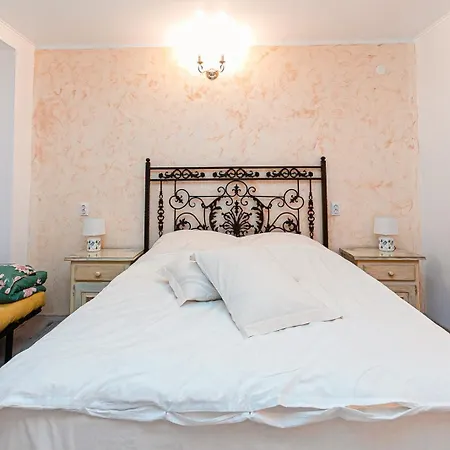 Guest house Pensiunea Casa De Vis *