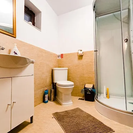Pensiunea Casa De Vis Guest house *