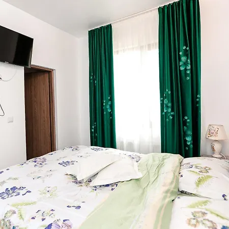 Pensiunea Casa De Vis Guest house *