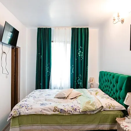 Guest house Pensiunea Casa De Vis *